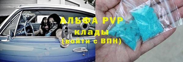 PSILOCYBIN Покачи
