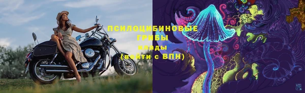 гидропоника Абдулино