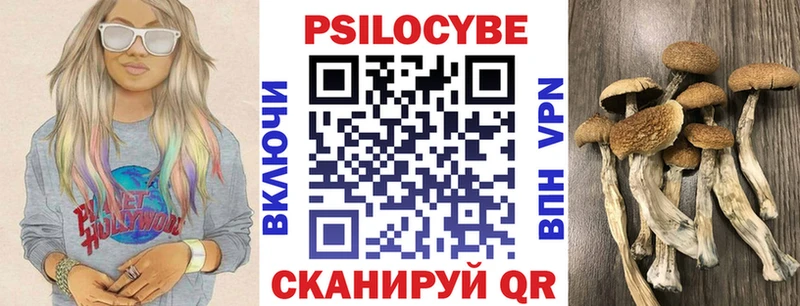 OMG вход  Абдулино  Псилоцибиновые грибы Psilocybine cubensis 